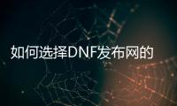 如何选择DNF发布网的职业版本