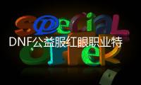 DNF公益服红眼职业特点是什么？