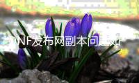 DNF发布网副本问题如何解决？