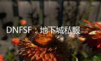 DNFSF：地下城私服的神秘面纱与独特魅力